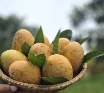 আমসত্ত্ব
