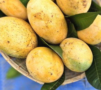 আমসত্ত্ব বাটি