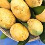 আমসত্ত্ব বাটি