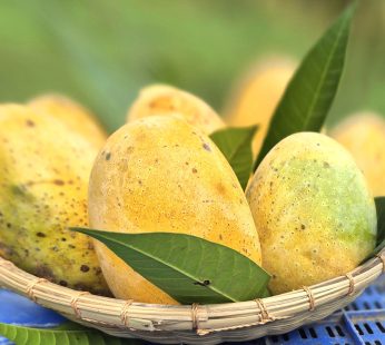 আমরুপালি
