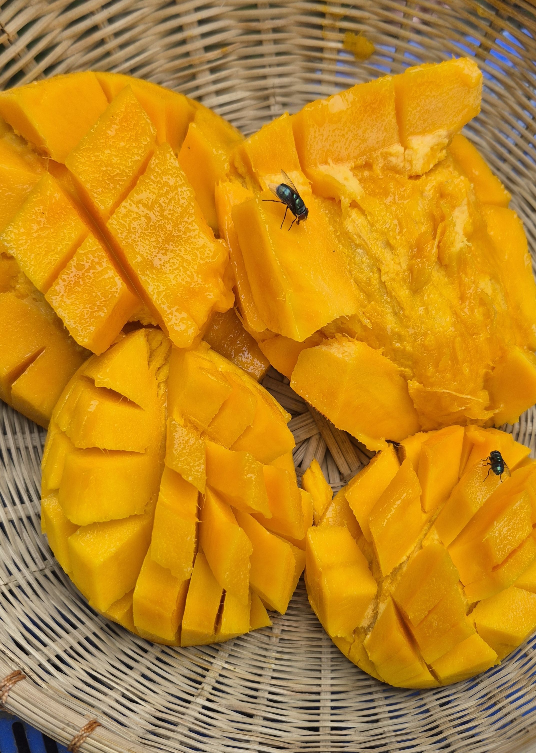 কাটিমন - Image 3