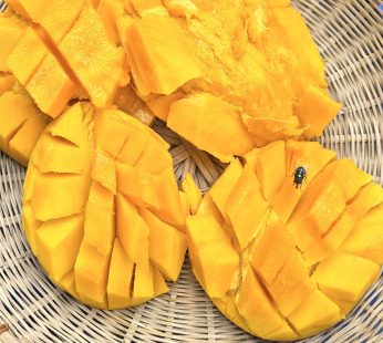 আমরুপালি