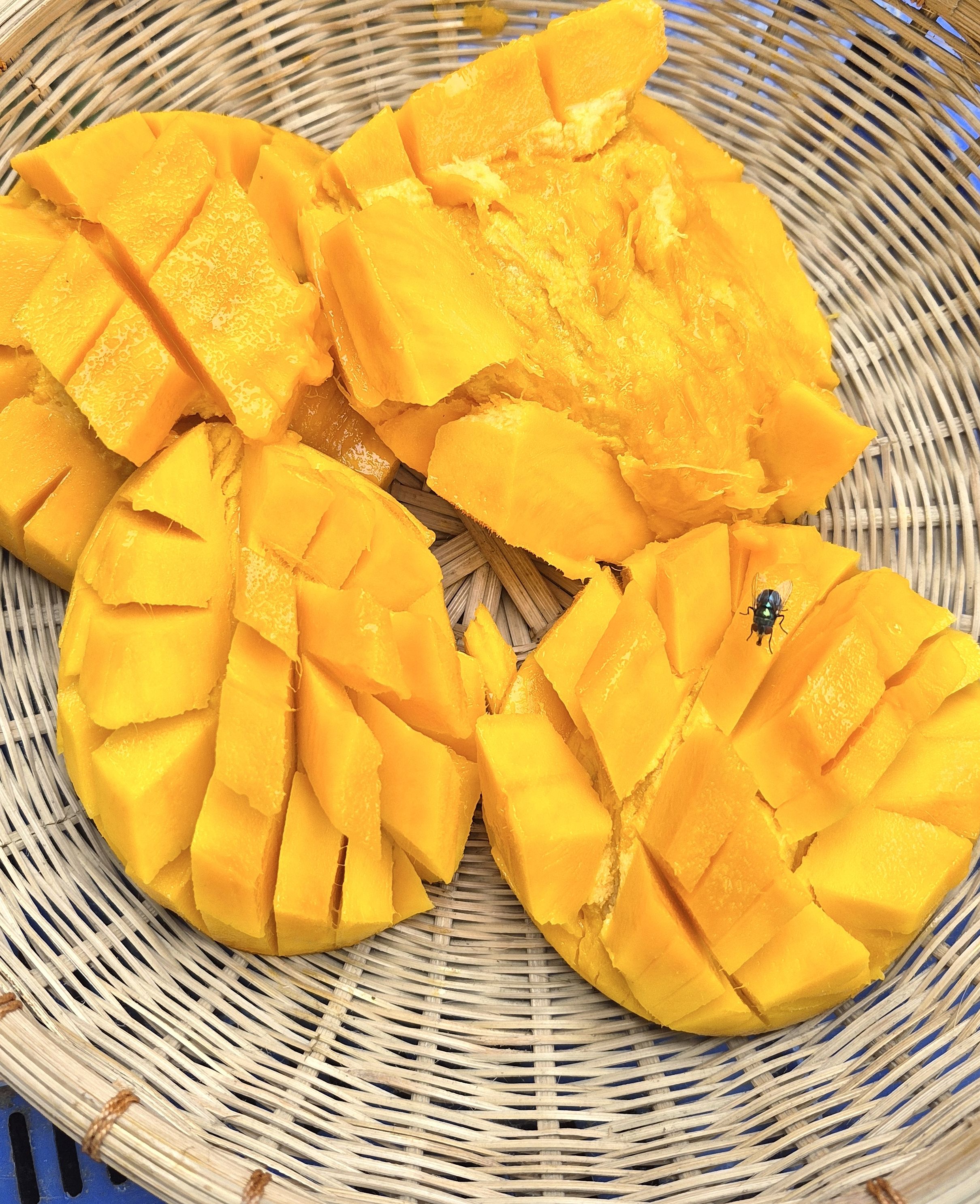 আমরুপালি